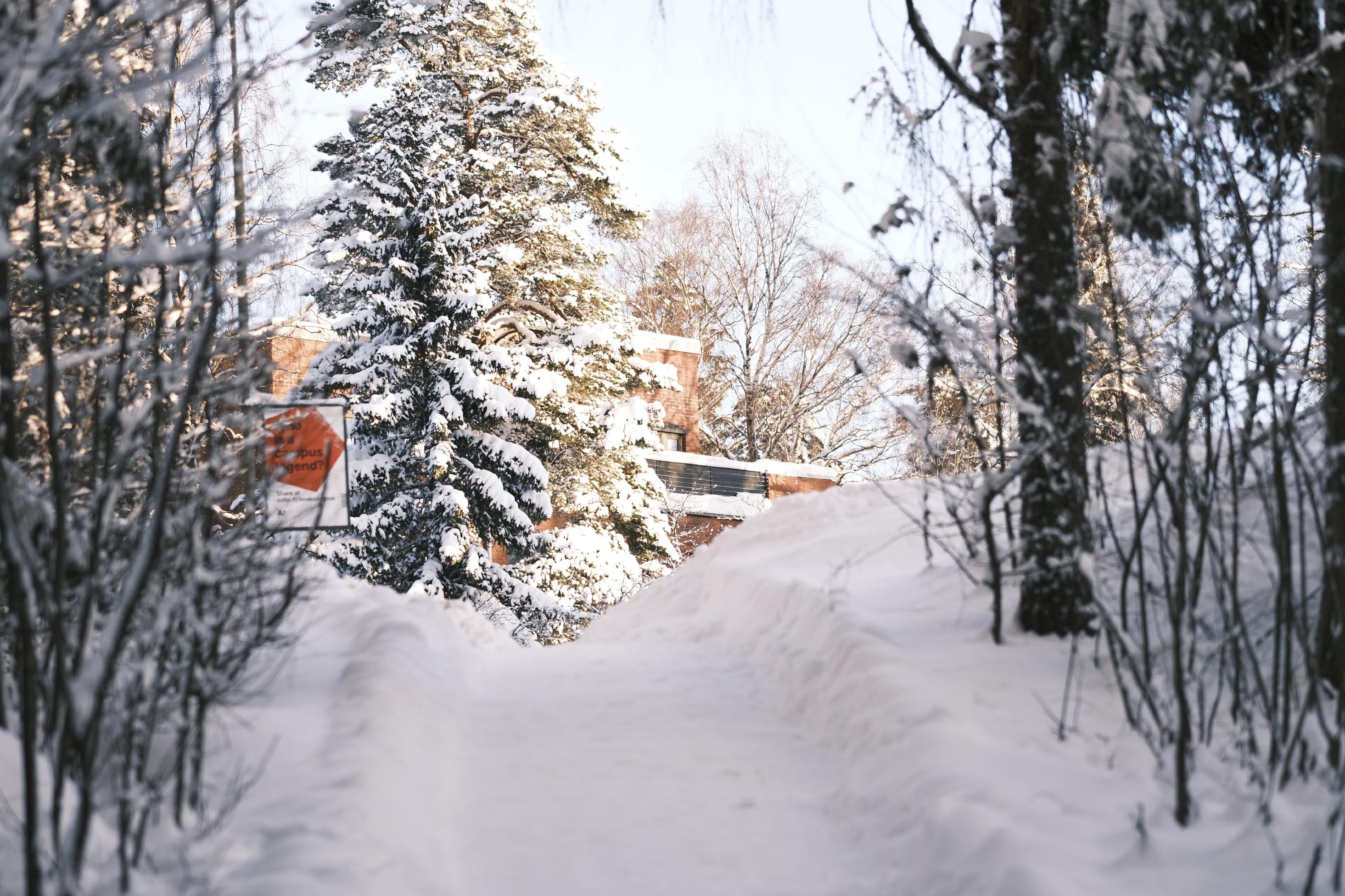 /images/city/helsinki/_DSF5480.jpg